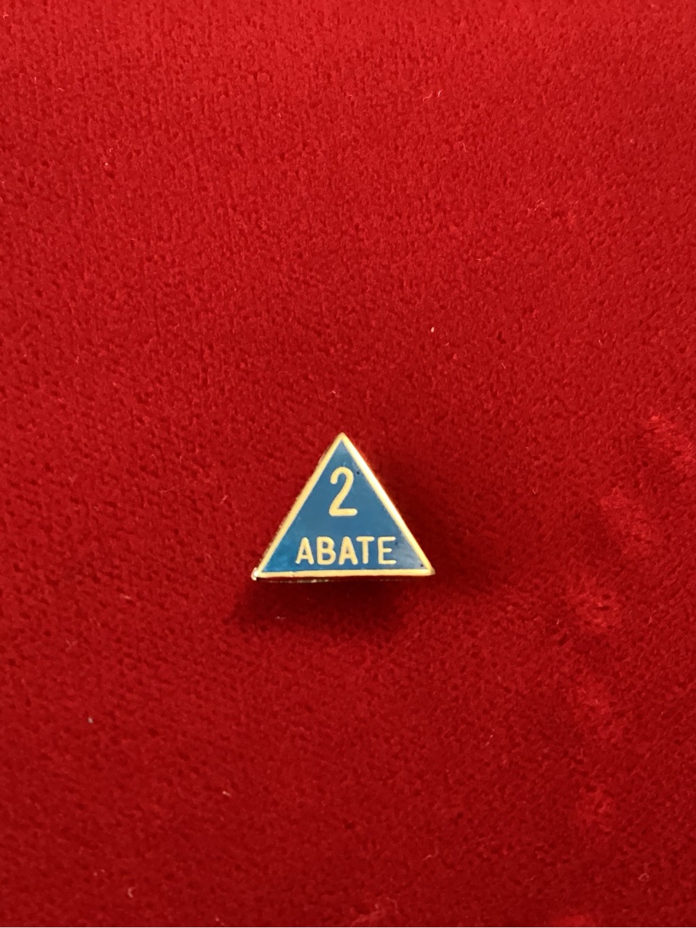 Blue '2 ABATE' Triangular Enamel Pin - Men's Jewelry